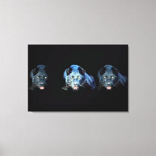 Jaguar - Black Panther Wrapped Canvas - 3 Leinwand