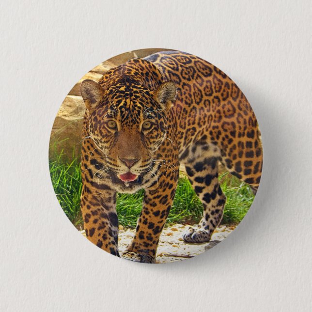 Jaguar Button (Vorderseite)