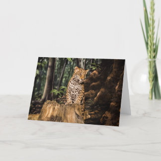 Jaguar Cub Grußkarte Karte