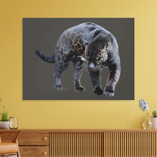 Jaguar Diablo Grau Leinwanddruck