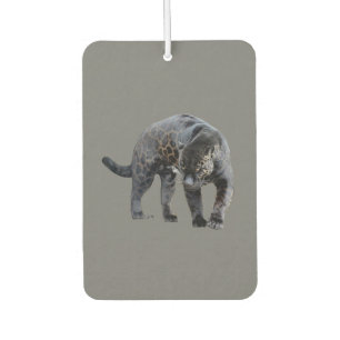 Jaguar Diablo, graues Auto-Lufterfrischer Autolufterfrischer