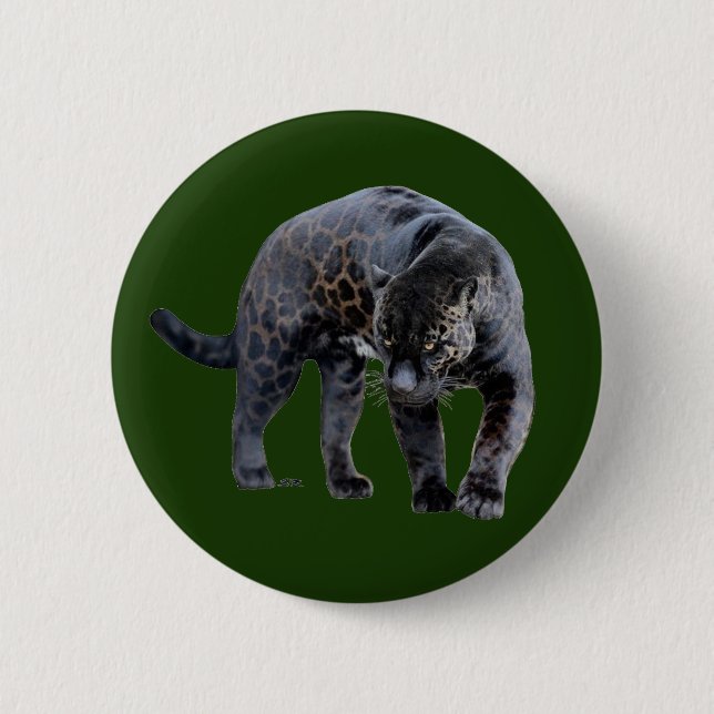 Jaguar Diablo grüne Taste Button (Vorderseite)