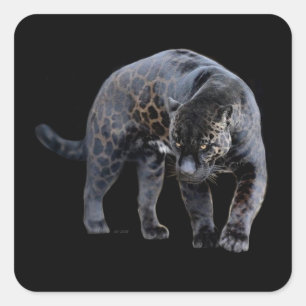 Jaguar Diablo schwarze Quaddelsticker Quadratischer Aufkleber
