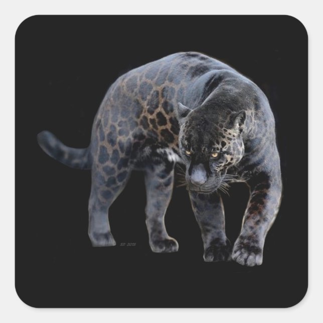 Jaguar Diablo schwarze Quaddelsticker Quadratischer Aufkleber (Vorderseite)