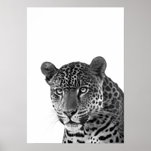 Jaguar Dschungel Modern Portrait schwarz weiß Poster
