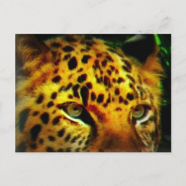 Jaguar Eyes Postkarte (Vorderseite)