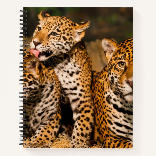 Jaguar Familie Spiral Notebook Notizbuch (Vorderseite)