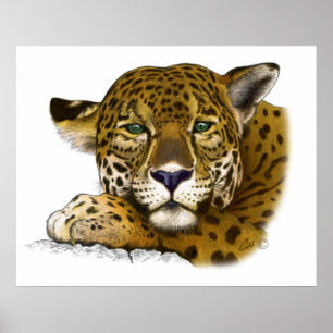Jaguar-farbig Poster