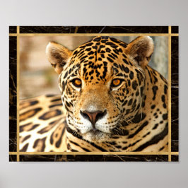 Jaguar Foto Image Print Poster
