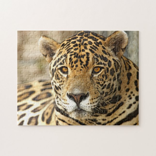 Jaguar Foto Puzzle (Horizontal)
