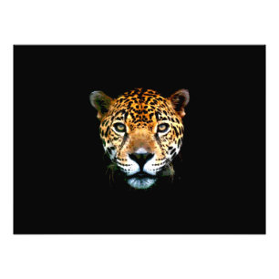 Jaguar Fotodruck