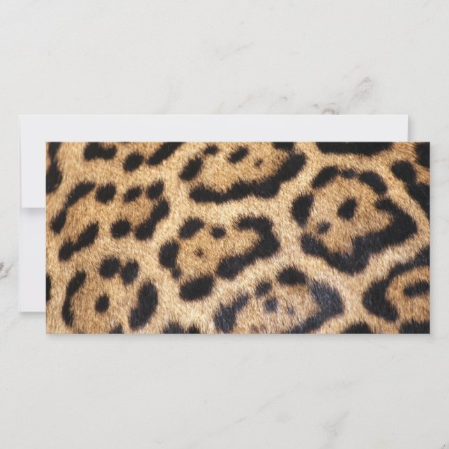 Jaguar Fur Foto Print (Vorderseite)