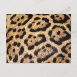 Jaguar Fur Foto Print Postkarte