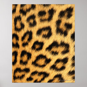 Jaguar Fur Poster