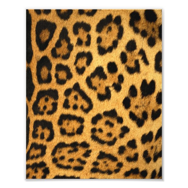 Jaguar Fur Print Fotodruck (Vorne)