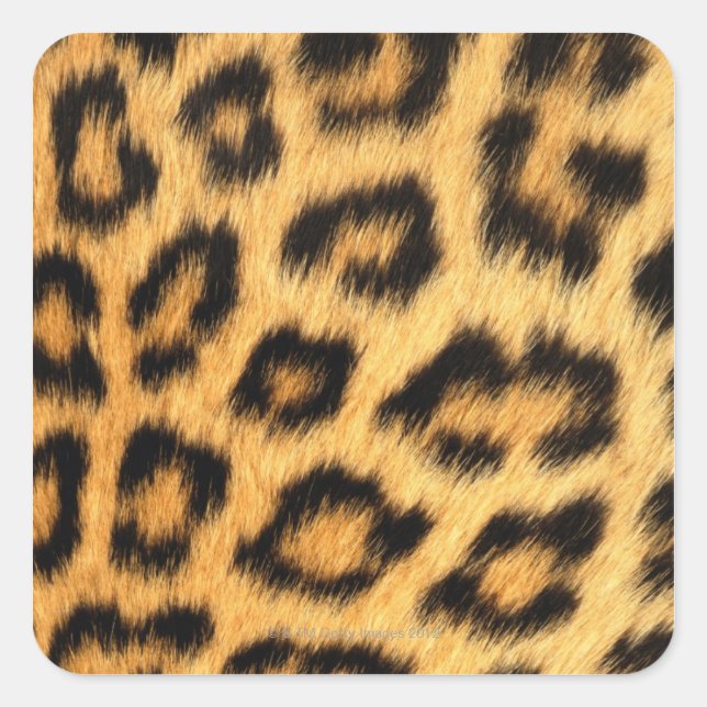Jaguar Fur Quadratischer Aufkleber (Vorderseite)