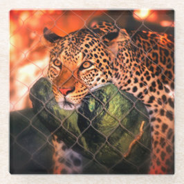 Jaguar Glasuntersetzer