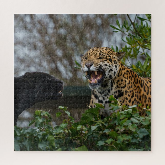Jaguar Growl Puzzle (Vertikal)