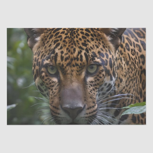 Jaguar ist Nah im Wald, Seidenpapier (Vorderseite)