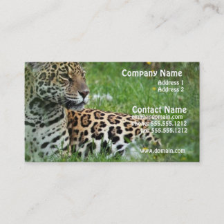 Jaguar-Katzen-Visitenkarte Visitenkarte