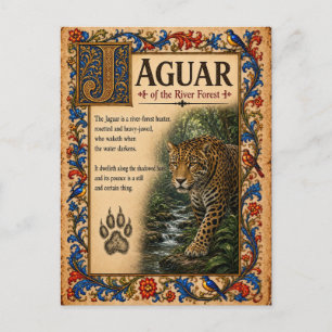 Jaguar, mittelalterliche Bestiarien-Kunst Postkarte