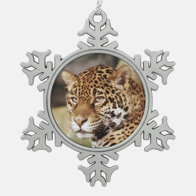 Jaguar Ornament (Vorderseite)
