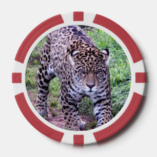 Jaguar Pokerchips