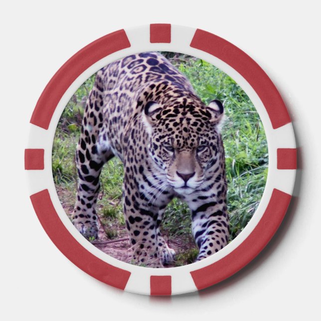Jaguar Pokerchips (Vorderseite)