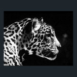 Jaguar Pop Art Poster<br><div class="desc">Black & White Jaguar Portrait Posters - Pop Art Jaguar Image - Big Wild Cats Prints - The Head of the Jaguar - Face of Jaguar</div>