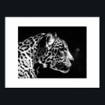 Jaguar Pop Art Poster Print - Jaguar Poster<br><div class="desc">Black & White Jaguar Portrait Posters - Pop Art Jaguar Image - Big Wild Cats Prints - The Head of the Jaguar - Face of Jaguar</div>