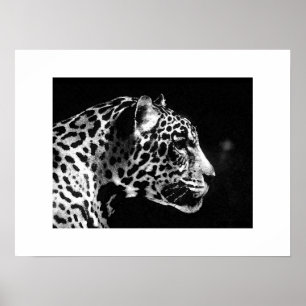 Jaguar Pop Art Poster Print - Jaguar Poster