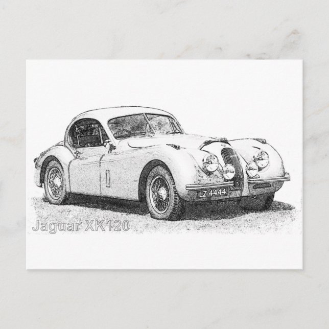 Jaguar Postkarte (Vorderseite)