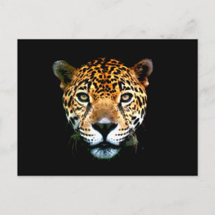 Jaguar Postkarte