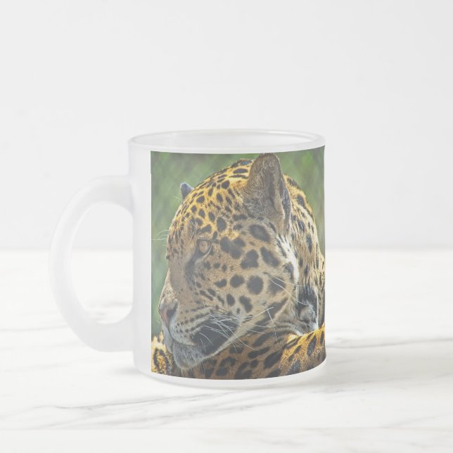 Jaguar-Profil Mattglastasse (Links)
