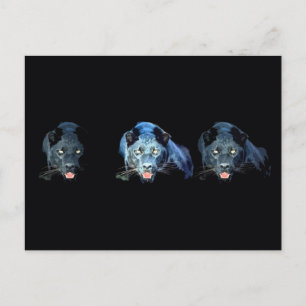 Jaguar - Schwarzer Panther Postkarte