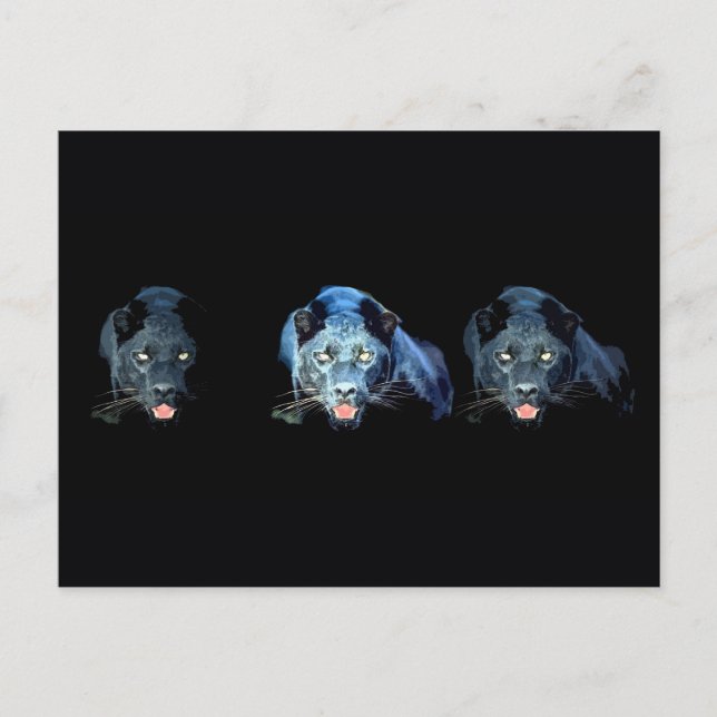 Jaguar - Schwarzer Panther Postkarte (Vorderseite)