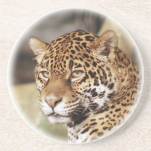 Jaguar Untersetzer