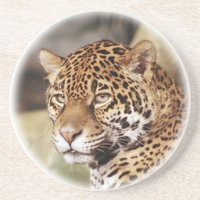Jaguar Untersetzer (Vorne)