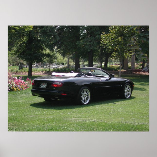 Jaguar XK8-Konvertible Poster (Vorne)