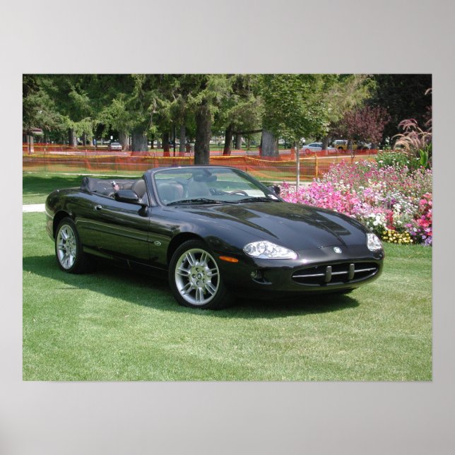 Jaguar XK8-Konvertible Poster (Vorne)
