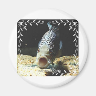 JaguarCichlid Magnet