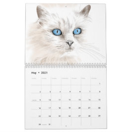 Jahr der Katzen-Zeichnungen Kalender