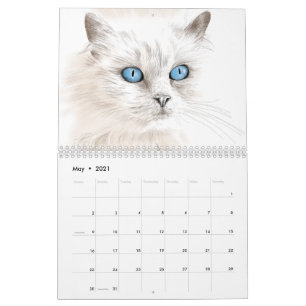 Jahr der Katzen-Zeichnungen Kalender