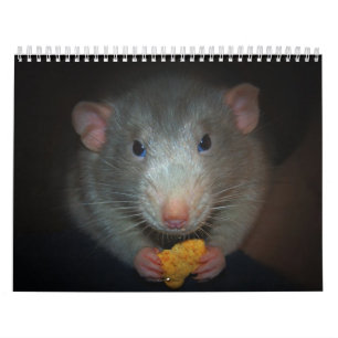 Jahr der Ratte Calander Kalender