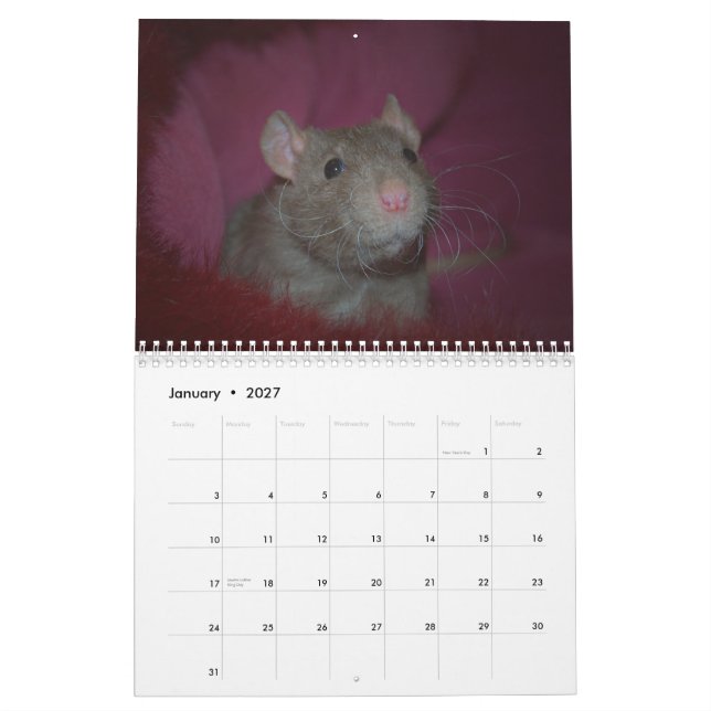 Jahr der Ratte Calander Kalender (Jan 2027)