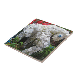Jahr des Pferdes 春節馬 ... Chinesische Blumen-Topi Fliese