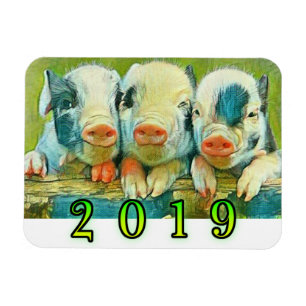 Jahr des Schweins 2019 Magnet
