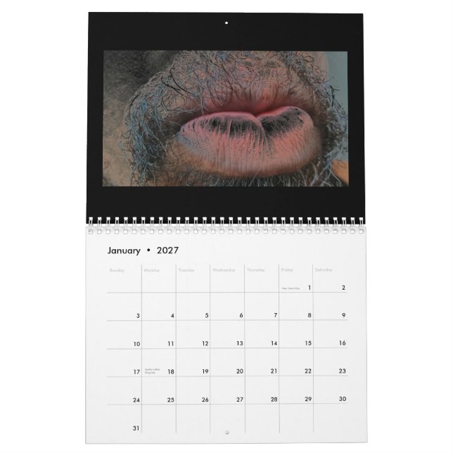 Jahr im Jahr heraus Kalender (Jan 2027)