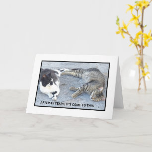 JAHRESINHALT/ZWEI SCHLAFKATZEN/SPASS KARTE