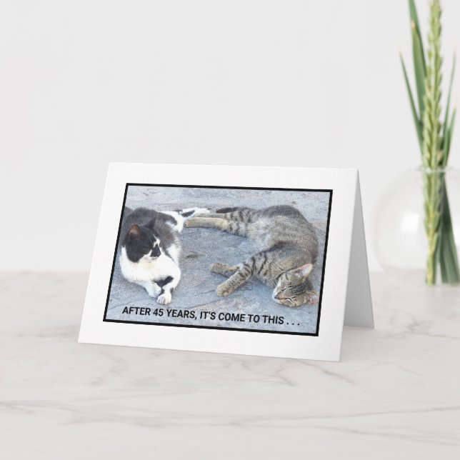 JAHRESINHALT/ZWEI SCHLAFKATZEN/SPASS KARTE (Vorderseite)